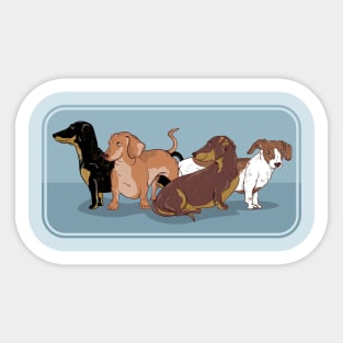 Dachshund DOGS Sticker